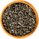 sunflower seeds