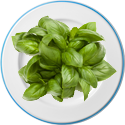 basil