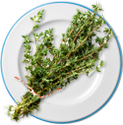 thyme