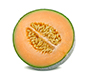Cantaloupe