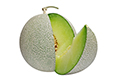 Honey Dew Melon
