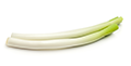 Leek & spring onion (white part)