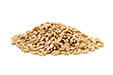 Wheat