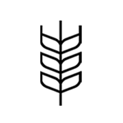 GMO-free-FODMAP-flour